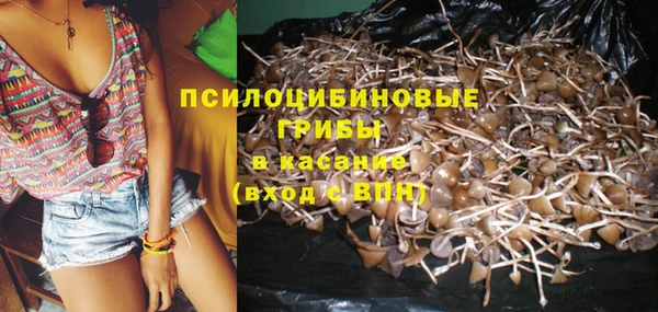 мет Медвежьегорск