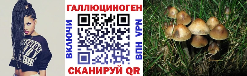 мега ссылка  Озёры  Псилоцибиновые грибы ЛСД 